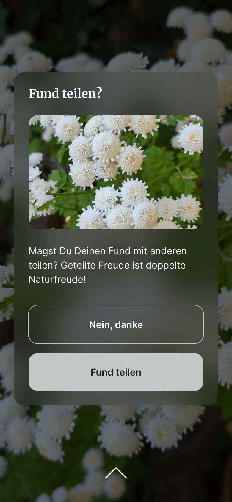 Button Iteration Nachher 1